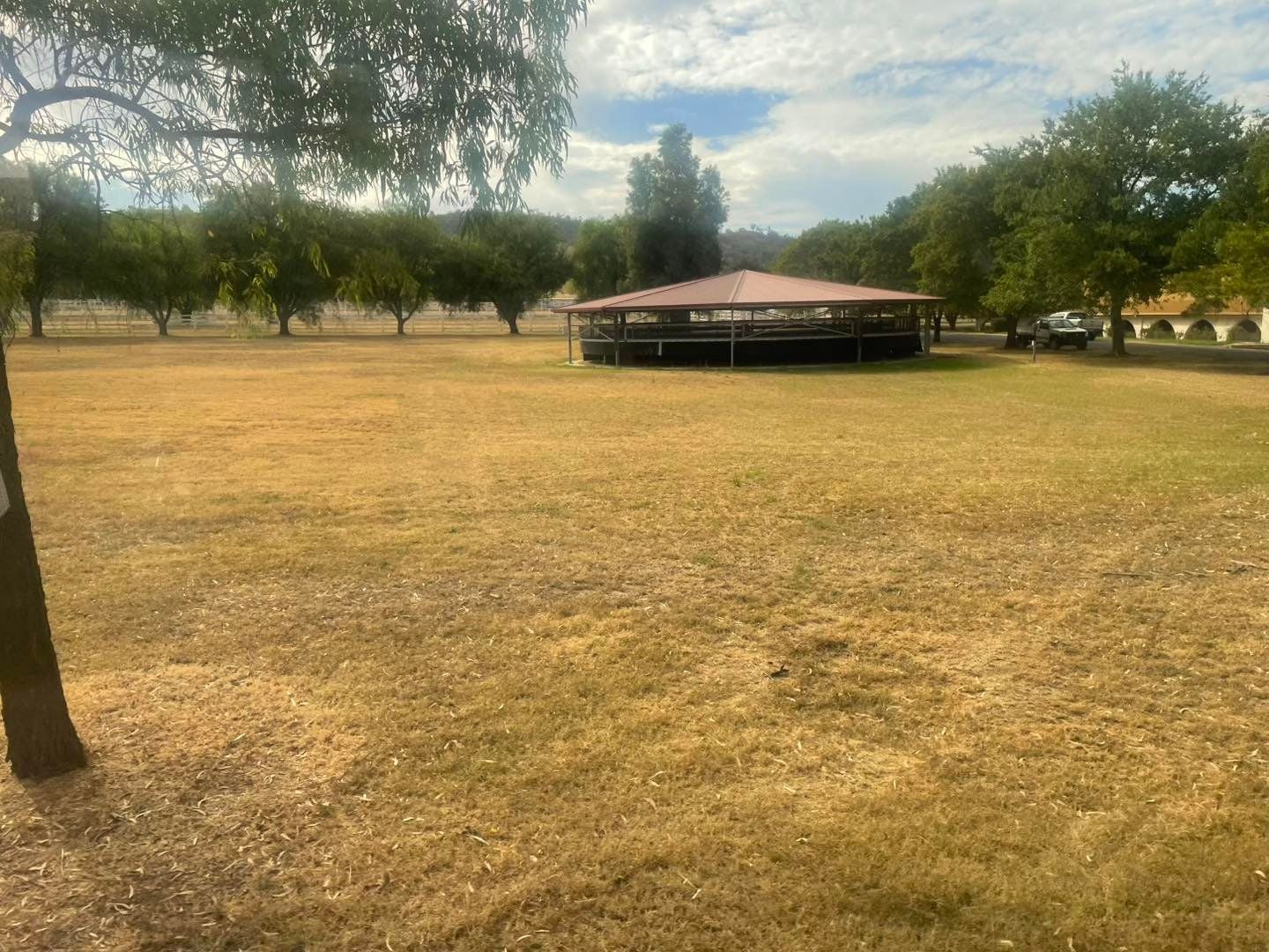 Dubbo Zoo 2025 Image -67de04d2a2943